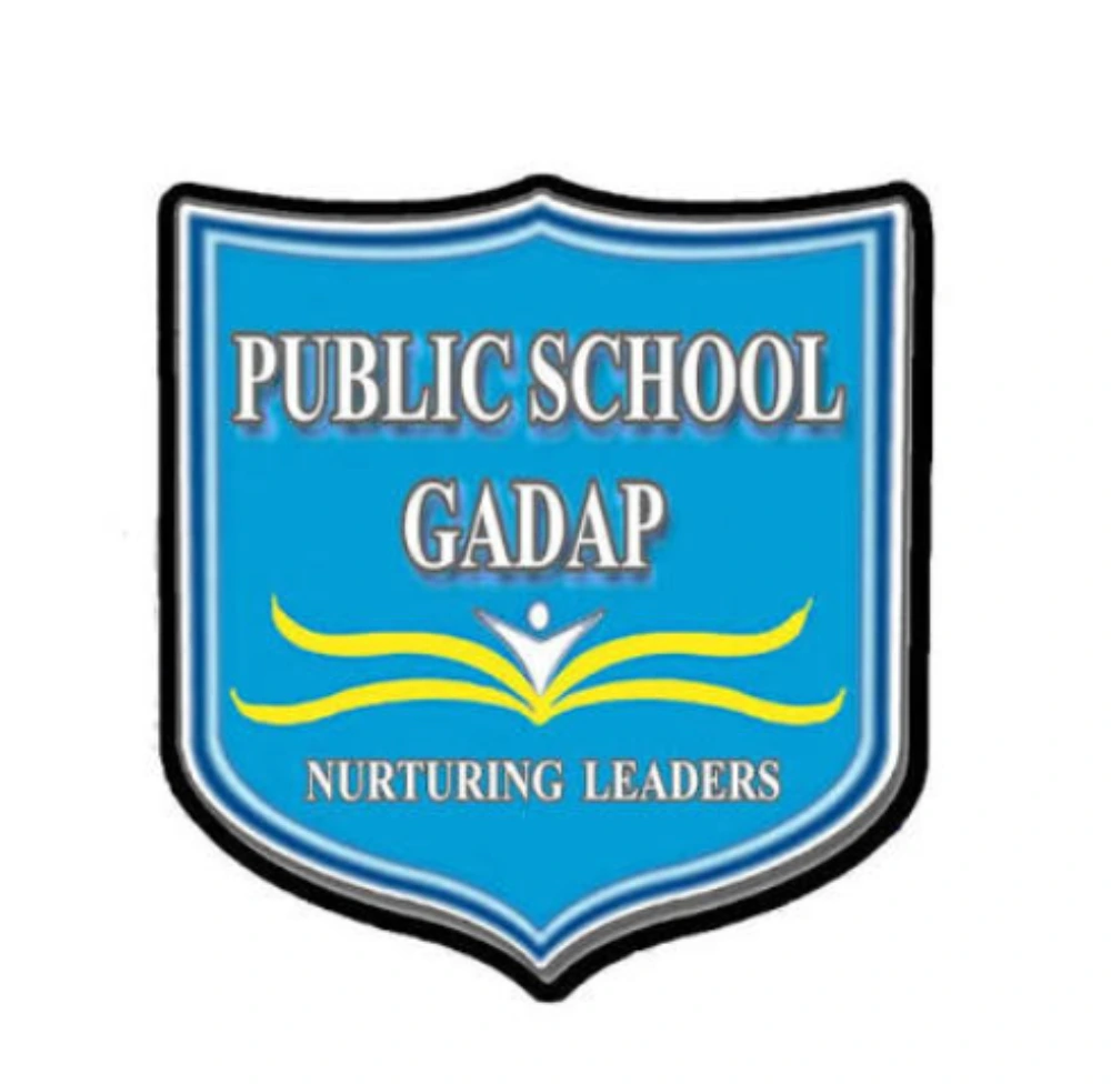 public school gadap logo trusted client of Aqeel & Sons